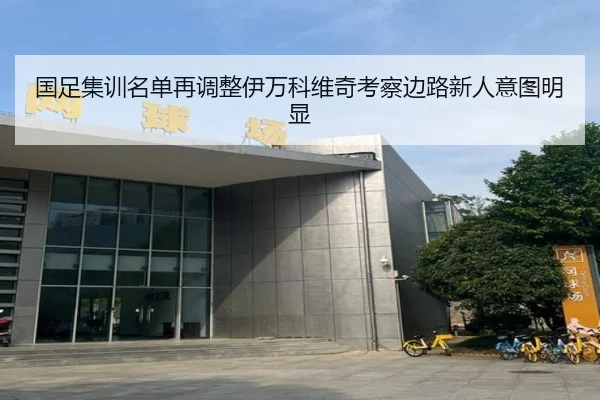 国足集训名单再调整伊万科维奇考察边路新人意图明显